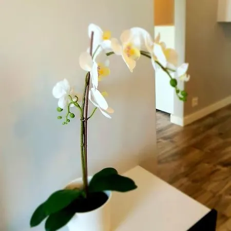 Modern Capital Downtown 2 Balcony Apartment